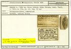 Karteikarte zum Holotyp von Frondicularia whaingaroica Stache, 1864